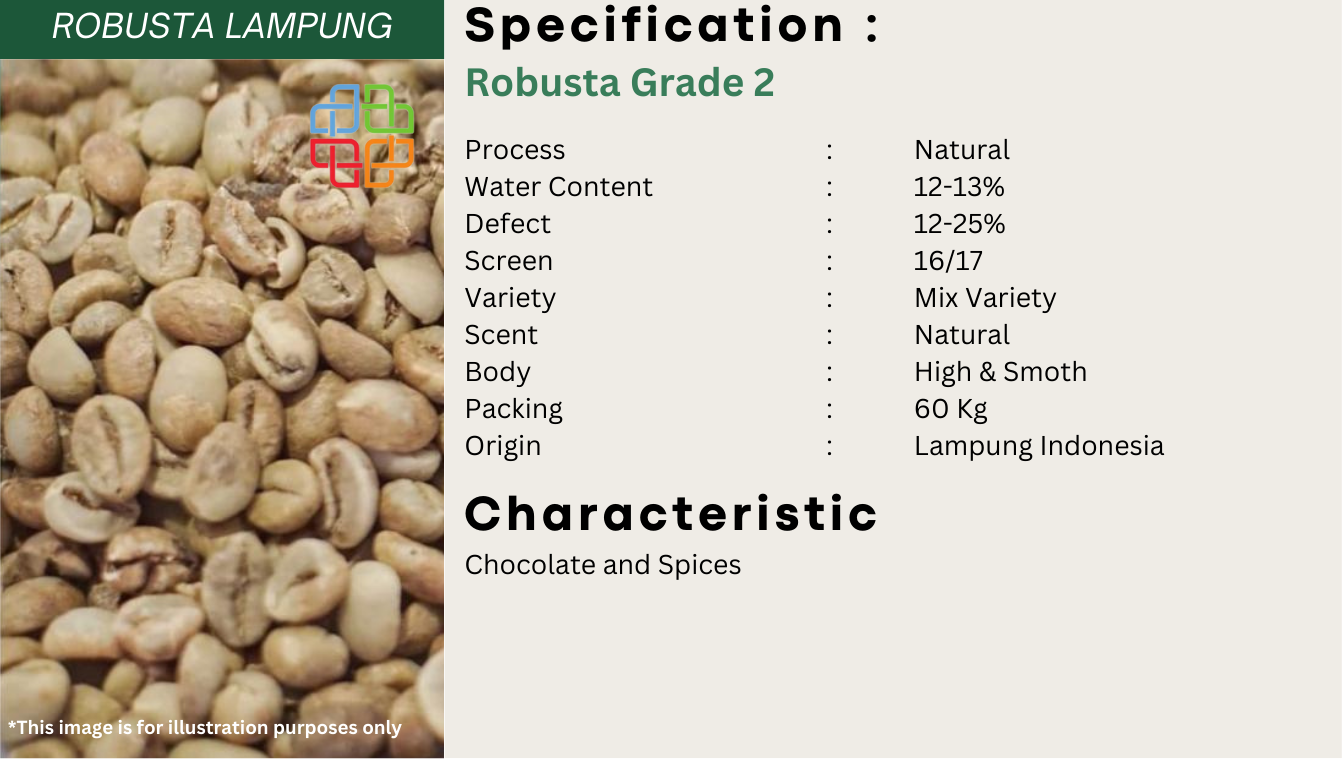 Indonesian Coffee Bean Exporter - Robusta Grade 2