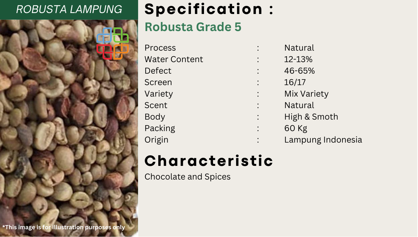 Indonesian Coffee Bean Exporter - Robusta Grade 5